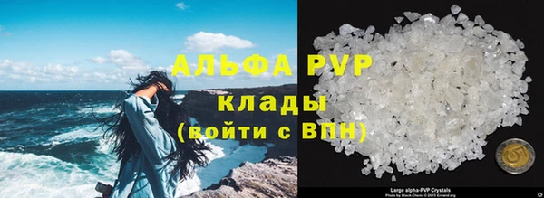 гидропоника Алзамай