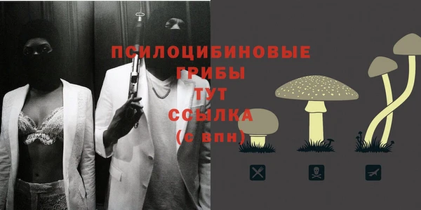 гидропоника Алзамай