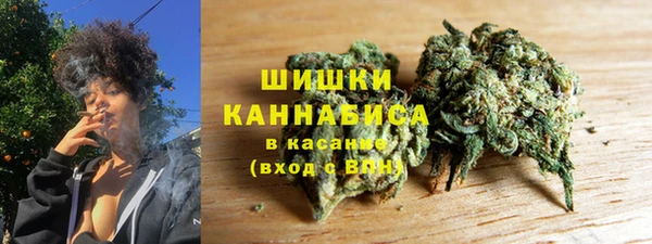 гидропоника Алзамай