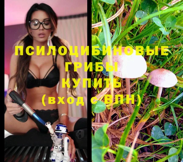 гидропоника Алзамай