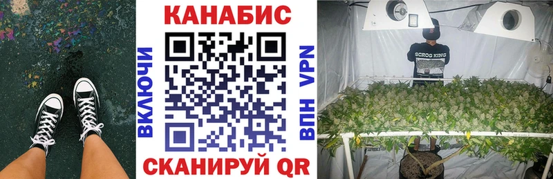 как найти наркотики Пласт Каннабис сатива
